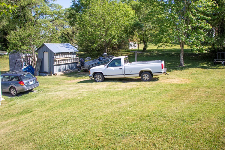 Backyard-2